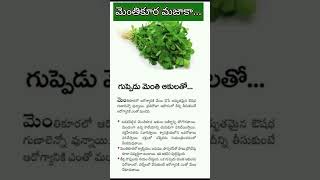 మెంతికూరలో ఎన్నో పోషకాలు / Health Benefits Of Methi Leaves / Leafy Vegetables #akukuralu #ytshorts