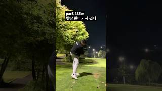 결과는 홀인원 할 뻔 했다 #필드레슨 #아이언스윙 #아이언 #golfswing #golf #강남골프레슨 #화재임팩 #골프스윙 #골프레슨 #ゴルフ #高尔夫 #golfcourse