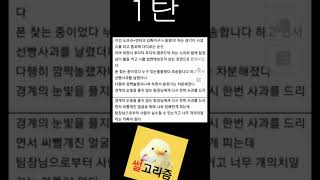 3년차 개발자 여상사 ㅅㄱ 만진썰 1탄 #유머 #짤