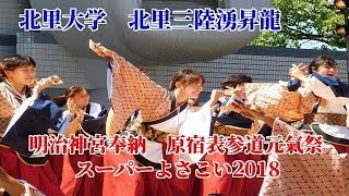 北里大学　北里三陸湧昇龍　明治神宮奉納　スーパーよさこい2018