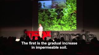 Death and resurrection of resurgences: Giustino Mezzalira at TEDxRoncade