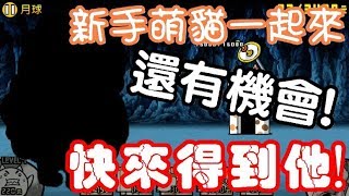 《哲平》手機遊戲 貓咪大戰爭 - 新手萌貓一起來!! - 第二章世界篇完結! ( 還有機會!! 大家快把他帶回家!! )