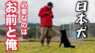 【和犬】あたりまえですが日本の犬です！ なぜ洋犬と同じ扱いするの？