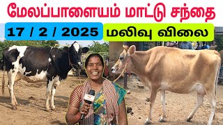 17 / 2 / 2025 / மேலப்பாளையம் மாட்டு சந்தை #மாடு #மாட்டுசந்தை #மேலப்பாளையம் #cow #cowfarm #cowsale