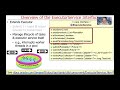Introduction to the Java ExecutorService