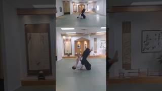 Aikido - yokomenuchi maki otoshi #martialarts #aikido #aikikai #aikidotechniques #aikidolife