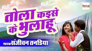 तोला कइसे के भुलाहू | Chhattisgarhi Folk Song 2017 | Sanjivan Tandiya | Natraj Cassette Barhi