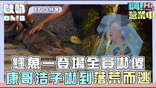 【嗨!營業中】鱷魚一登場全員嚇傻 康哥浩子嚇到落荒而逃｜Oh!8歐叭