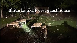 Bhitarkanika Forest Guest House - Deer inside campus