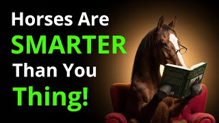 Horse INTELLIGENCE: Surprising FACTS About EQUINE SMARTS