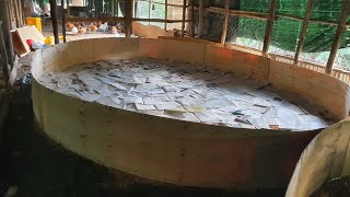 Pre-Brooding Secrets for 100% Success & Zero chicks Mortality!