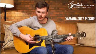 Yamaha AC5M ARE SRT2 Pickup Demo