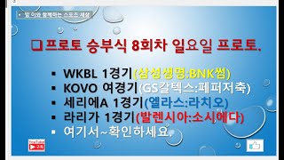 프로토 승부식 8회차 일요일 프로토// WKBL 1경기. KOVO 여경기. 세리에A 1경기. 라리가 1경기~참고들하시고 구매하세요.