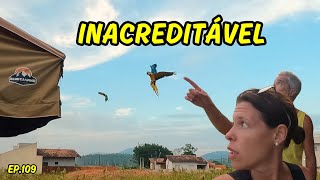 SITUAÇÕES QUE SÓ ACONTECEM UMA VEZ NA VIDA | Ep109