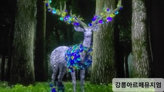 [강릉아르떼뮤지엄] media art 집에서 관람하기