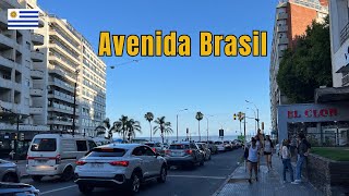 [4K] 🇺🇾 Montevideo, Uruguay | Caminemos juntos por la Avenida Brasil 🚶‍♂️🌳🏙️| Walking Tour