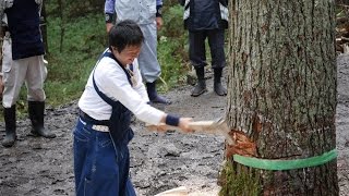 20160828赤沼区・子之神社御柱祭 山出し