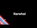 How to Pronounce Narwhal