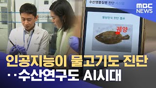 인공지능이 물고기도 진단‥ 수산연구도 AI시대 (2025.01.28/뉴스데스크/부산MBC)