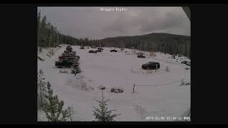 WBC Day Use Parking Lot Cam - 2024.12.30