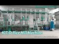 40t/d Rice Mill Plant-Rice Process Machinery Manufacturer-hongjia Grain Machinery #ricemillsupplier