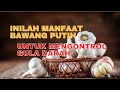 Manfaat Bawang Putih Untuk diabetes dan Mengontrol Gula Darah, banyak orang yang belum tahu