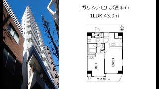 ガリシアヒルズ西麻布 1LDK 43.9㎡