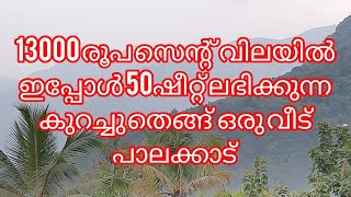 13lakh per acer near palakkad good income നല്ല വരുമാനമുള്ള സ്ഥലം വെറും 13000രൂപ സെന്റ് വിലയിൽ