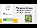 CottonInfo webinar: Managing nitrogen