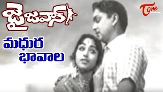 Jai Jawan Movie ANR Old Songs |  Madhura Bhaavala Song | ANR | Bharathi - Old Telugu Songs
