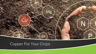 Copper For Your Crops (From Ag PhD Show #1182 - Air Date 11-29-20)