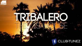 Tribalero - This is House (Original Sunset Mix)