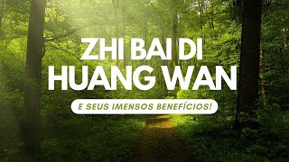 ZHI BAI DI HUANG WAN - E seus IMENSOS Benefícios para o Organismo!