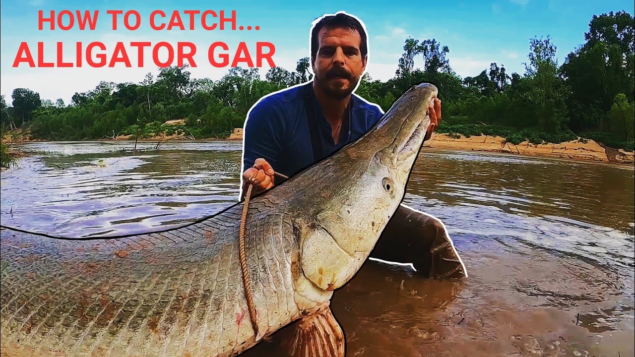 How To Catch an Alligator Gar (The Ultimate Guide)