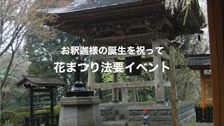 コンテンポラリーダンス／2016  4/17 ／ 陸前高田・光照寺花祭り特別公演