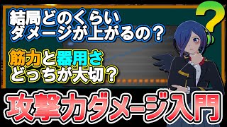 【ブルプロ】数学オンチでも視覚的に分かる攻撃力・ダメージ計算のあれこれ！ライジャ入門編【BLUE PLOTOCOL】