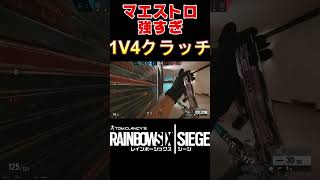 【R6S】マエストロ１V4クラッチ！#shorts【レインボーシックスシージ】