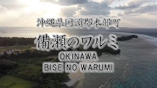 備瀬のワルミ　ドローン撮影 (#沖縄県国頭郡本部町）