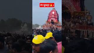 ବାହୁଡ଼ା ଯାତ୍ରା ।ମା ସୁଭଦ୍ରା🙏ବାହୁଡି ଯାଏ ମୋ ବାହୁଡ଼ା ବ୍ରହ୍ମ।bahudi jae mo bahuda Brahma #youtube #shorts