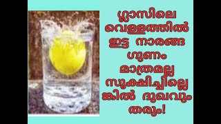 ഒരു ഗ്ലാസ് വെള്ളത്തിൽ നാരങ്ങ ഇട്ടു വച്ചാൽ ഗുണമൊ ദോഷമൊെ ?#lemon and its positivity#