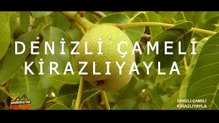 DENİZLİ ÇAMELİ KİRAZLIYAYLA