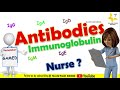 Antibody (Ab) or immunoglobulin (Ig) | IgG, IgA, IgM, IgE, IgD