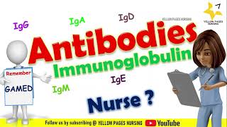 Antibody (Ab) or immunoglobulin (Ig) | IgG, IgA, IgM, IgE, IgD