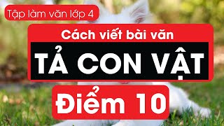 Cách viết bài văn Tả Con Vật Cực Hay, Cô Giáo Chấm Điểm 10