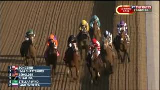 Beholder wins the Longines Breeders' Cup Distaff