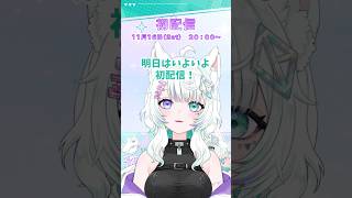 初配信明日です！！！#初配信 #vtuber #vtuber準備中 #新人vtuber #絵師vtuber #live2dモデル #shorts #short