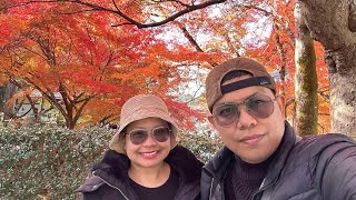 Autumn is beautiful @ KYOTO |DEC 1 2024| #japantravel #japanvlog #kyoto #travel | MayAnn_Manuel