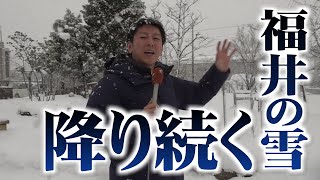 福井に降り続く雪　ピーク過ぎるも注意が必要（2023年1月26日午後4時ごろ）