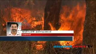 Forest fire in wayanad wildlife sanctuary