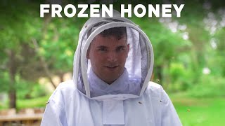 Beekeeping For Frozen Honey Trend